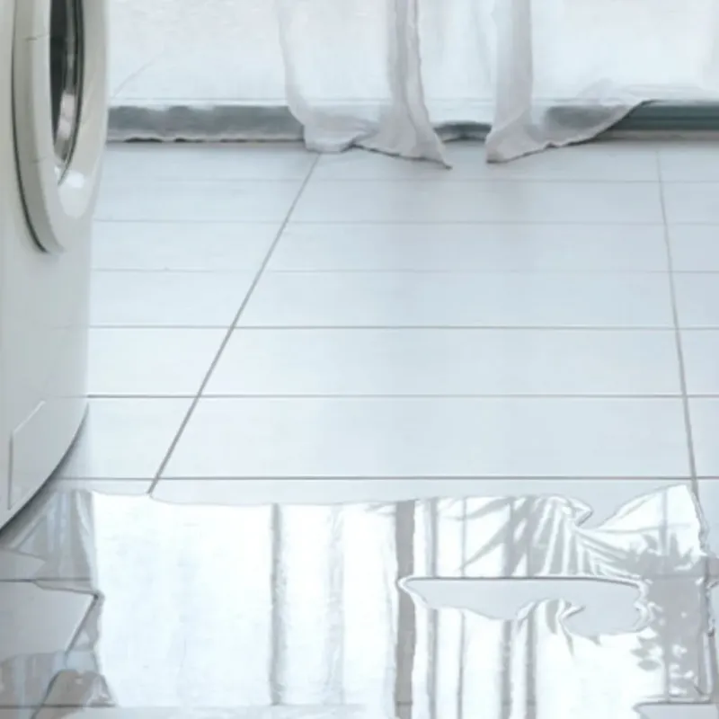 Appliance Leak Cleanup in Kewaunee, WI