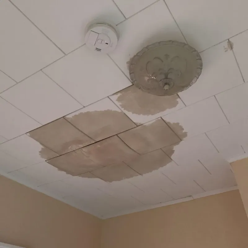 Ceiling Water Damage Repair in Kewaunee, WI