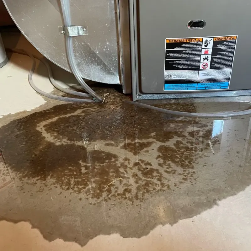 Pipe Burst and Leak Restoration in Kewaunee, WI